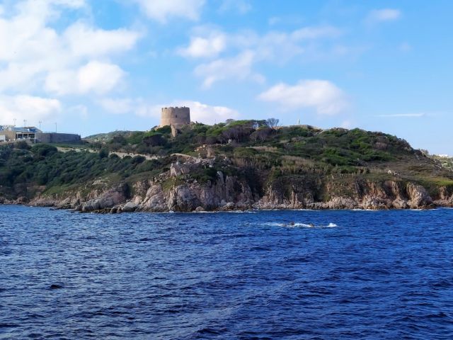 Ajaccio Fortress.